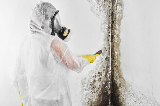 Best Crawl Space Mold Removal  in Maple Bluff, WI
