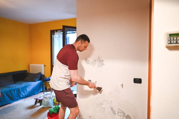 Best Crawl Space Mold Removal  in Maple Bluff, WI