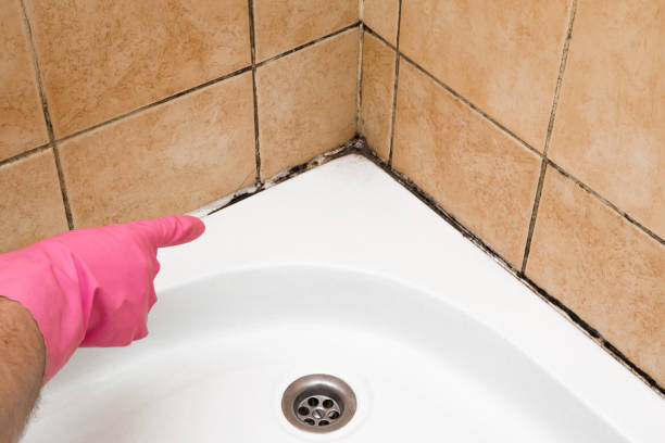 Best Mold Testing  in Maple Bluff, WI